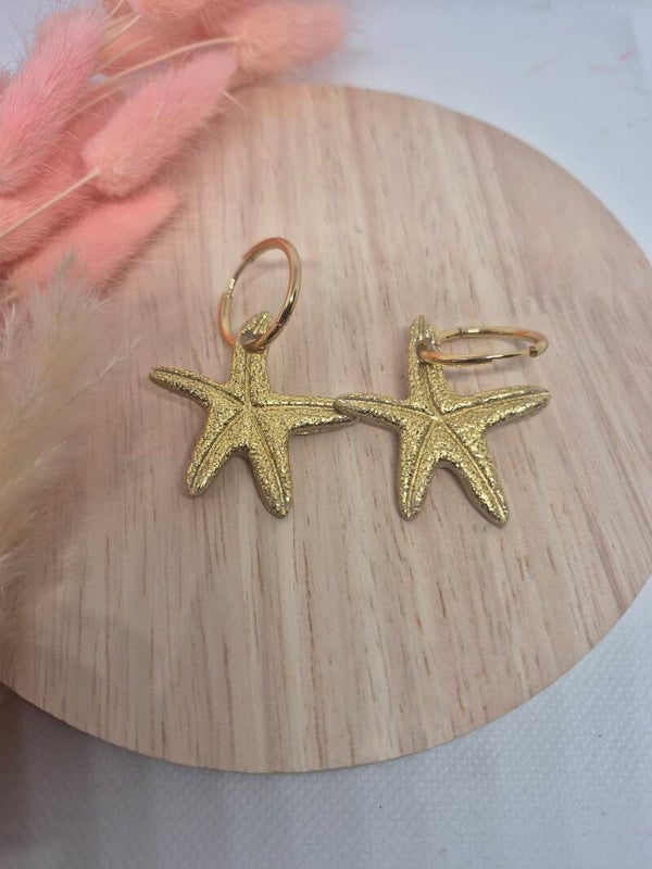Étoiles de mer