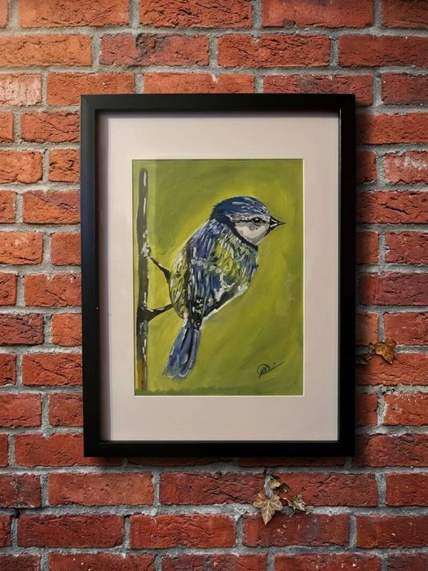 Portrait of a blue tit
