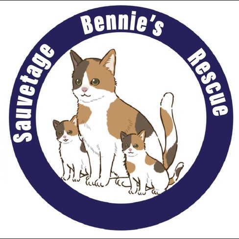 Sauvetage Bennies Rescue display picture 1