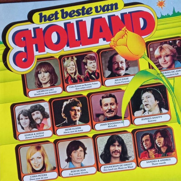 Verzamel LP"s Het beste van holland De daverende 13 16 Hollandse Hits.