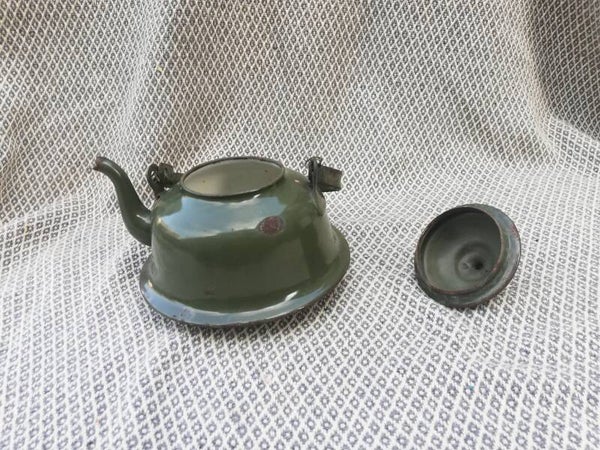 Kleine Groene Steekketel