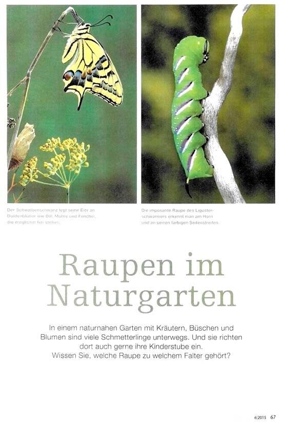 © Fabrice Chanson - le jardin de la 2nde chance