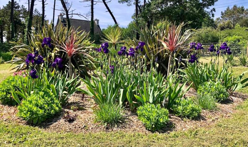 le jardin de la 2nde chance / Fabrice Chanson jardinier à Concarneau