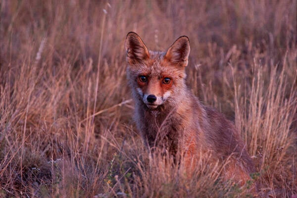 le jardin de la 2nde chance / Fabrice Chanson jardinier à Concarneau