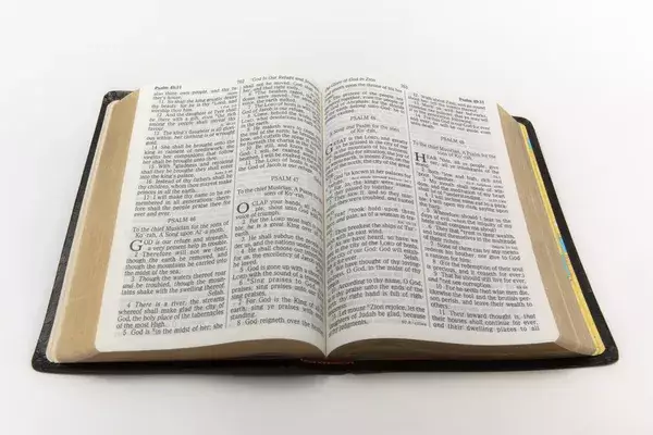 BIBLE