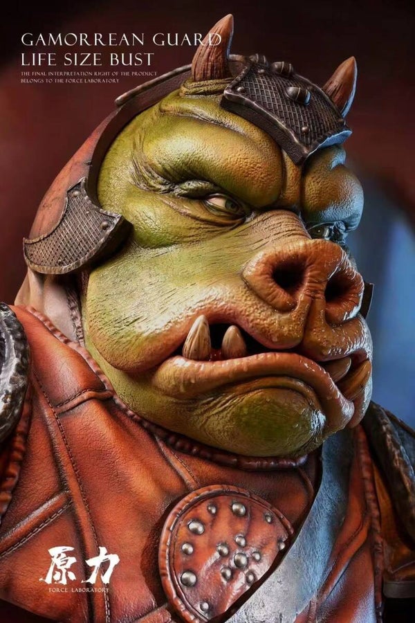 Force Laboratory  1/1 From Gamorrean Bust