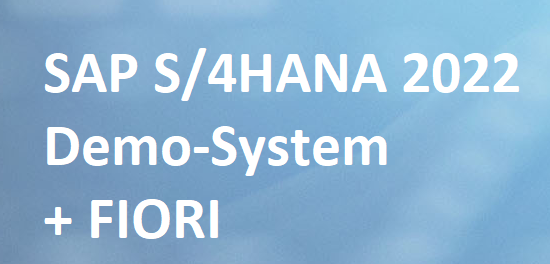 SAP-System Zugriff - Zugang für Anfänger und Quereinsteiger