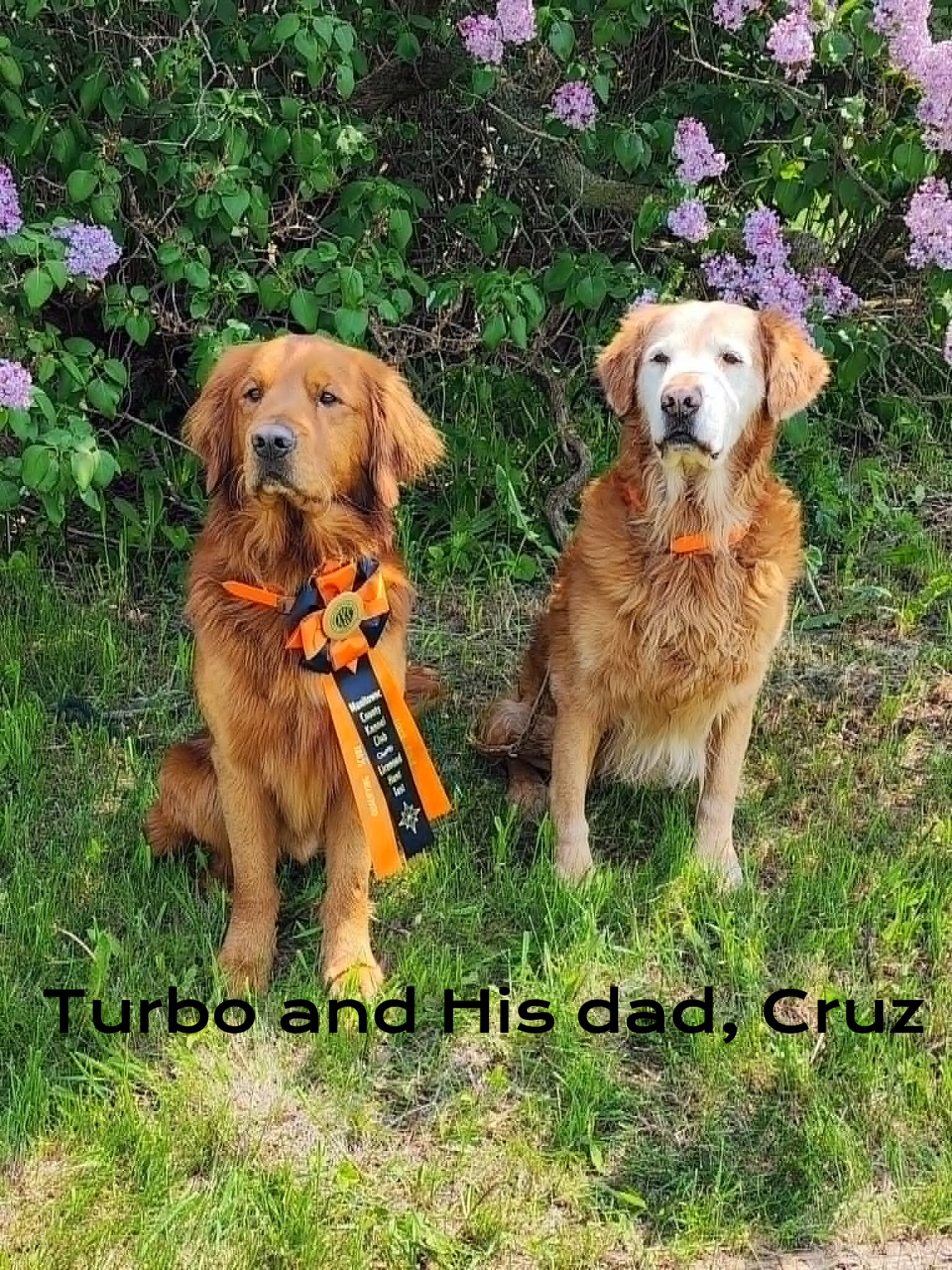 Turbos dad, Cruz,lived to 15 years young