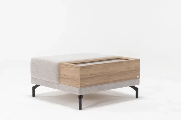 MARY TABLE BASSE AVEC RANGEMENT