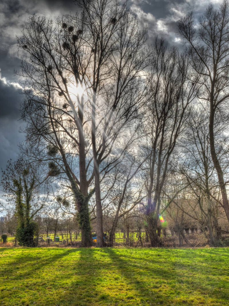 _2010146_47_48_49_50_painterly-standard.jpg