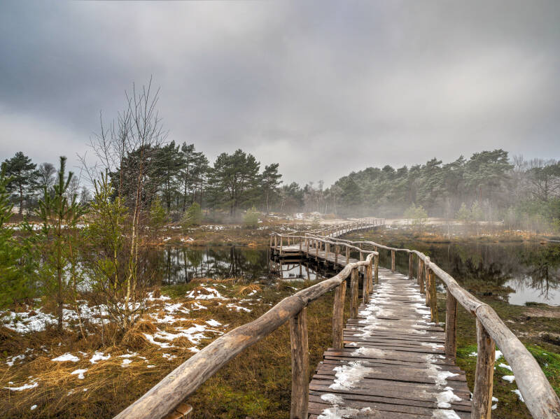 brunssummerheide-winter-1-standard.jpg