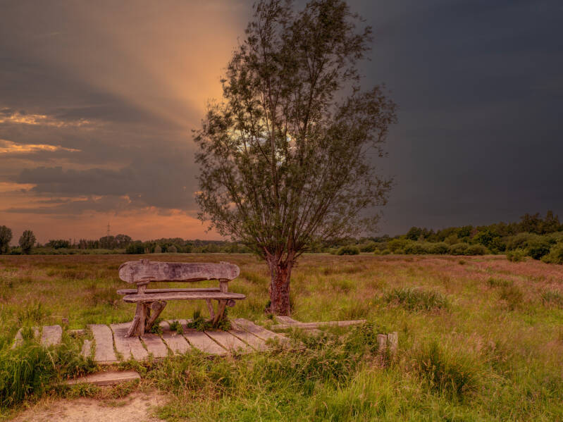 schinveld-bankje-heide-standard.jpg