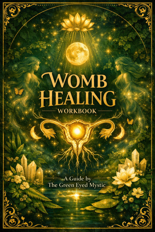 Healing The Womb Workbook