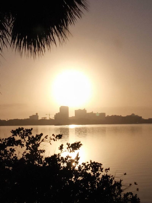 50 First Words Running Record- Across Operants