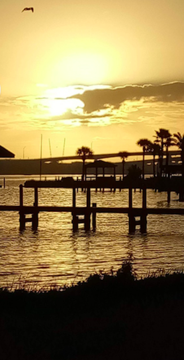 Emotional Regulation Guide