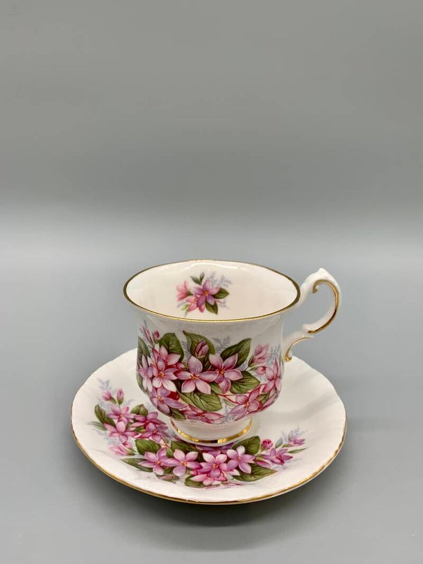 Paragon kop en schotel Mayflower