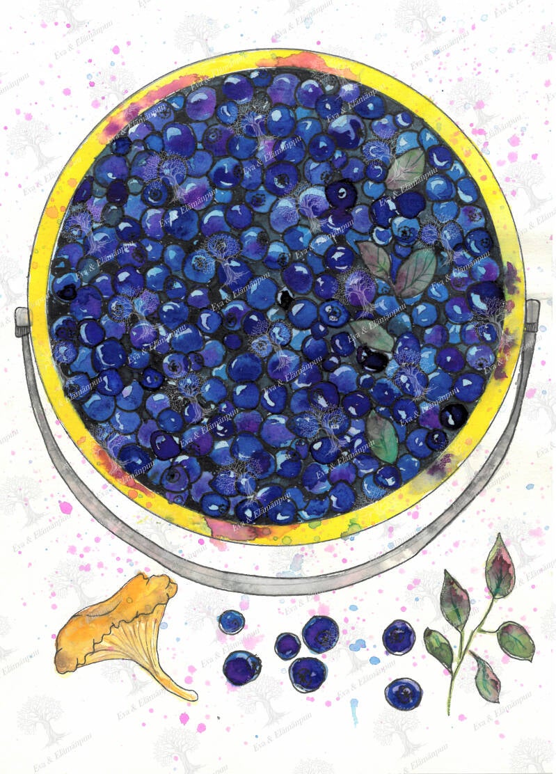 Kuvitus vesiväri (valokuvapaperilla 15x20)