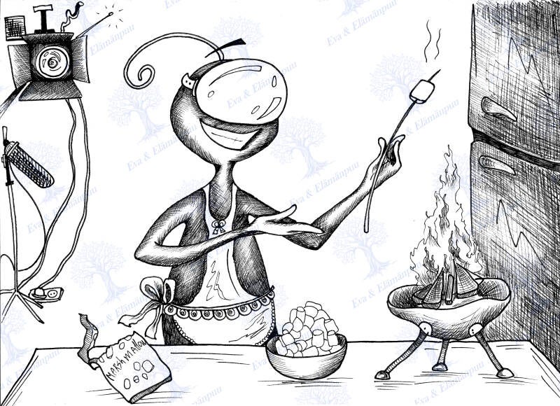 Cooking show_3