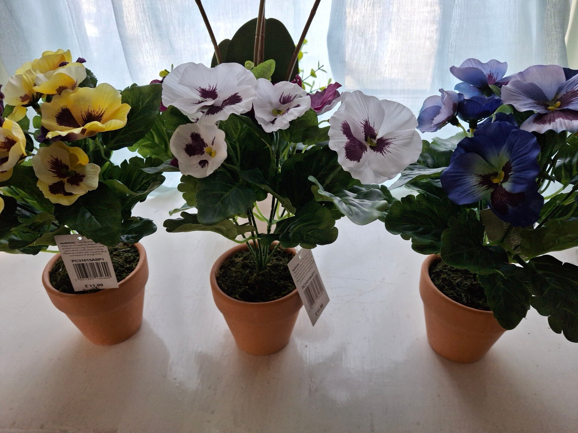 Set of 3 Potted Pansy 30cm