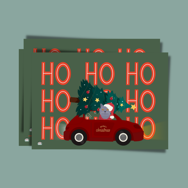 Kat in auto | Kerstkaarten | 4 stuks A6