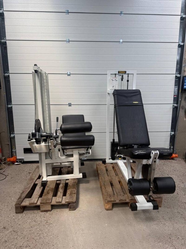 Technogym Isotonic leg curl/ leg extension/ beinstrecker/ beuger