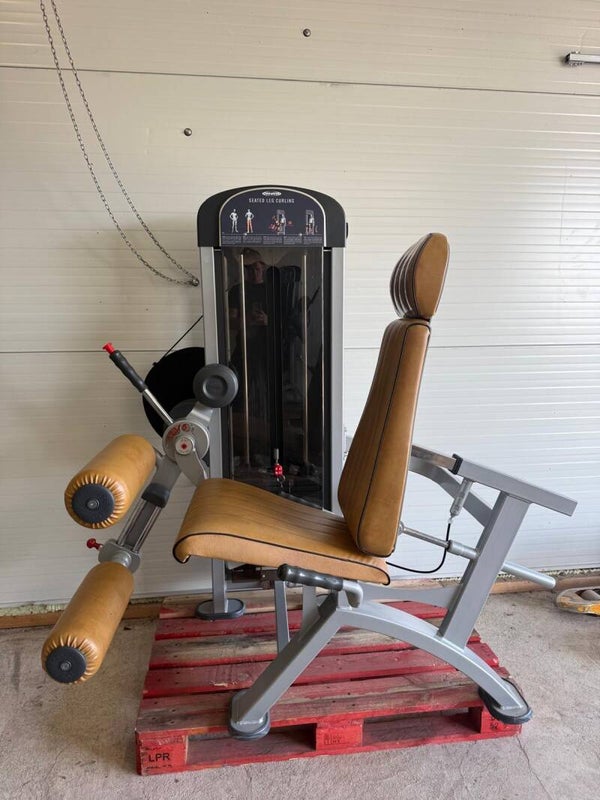Panatta Seated leg curl/ legs/ leg machine/ beinbeuger