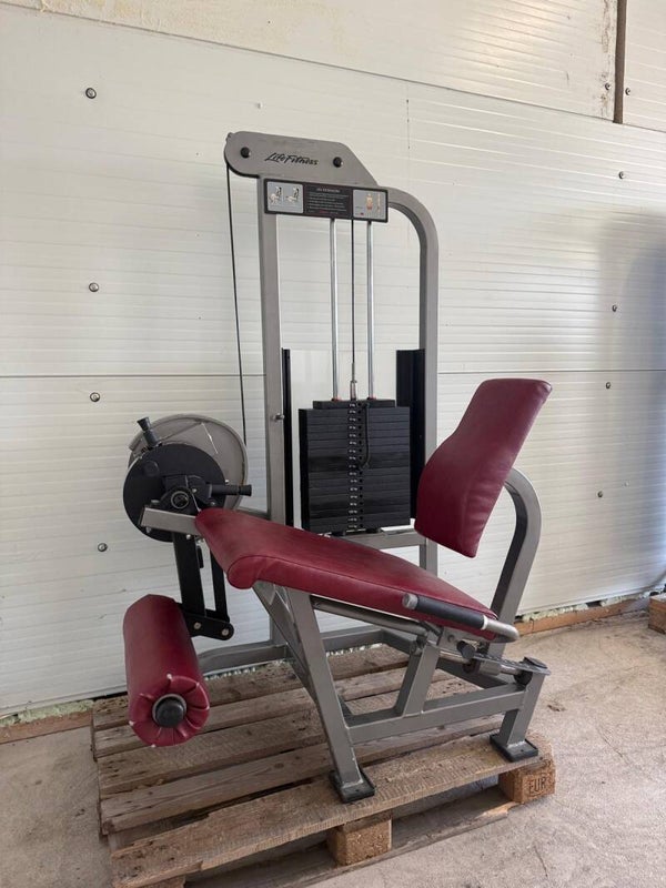 Life Fitness pro 1 leg extension/ beinstrecker/ bein strecker