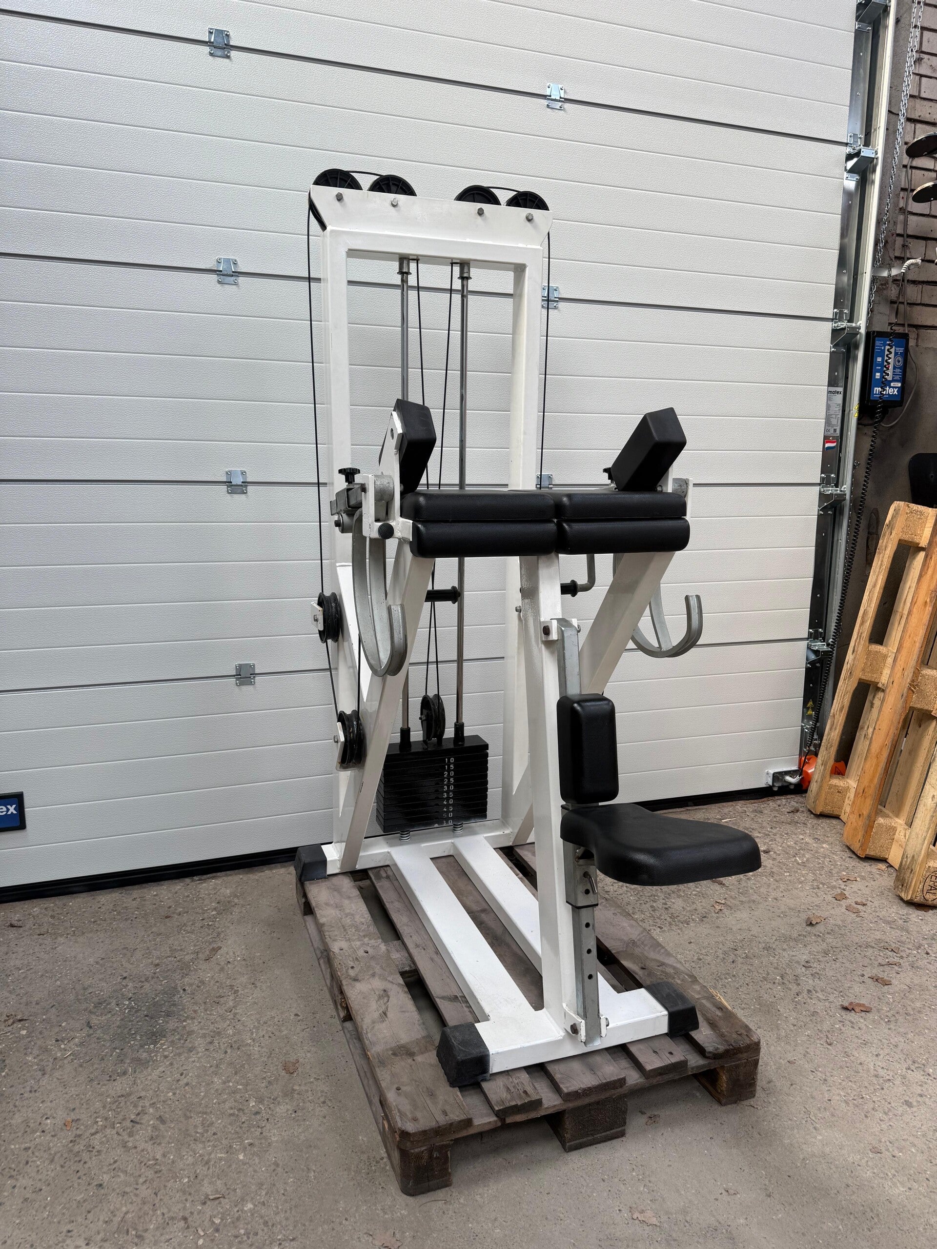 Panatta Bicep curl machine/ Bizeps/ Bizep/