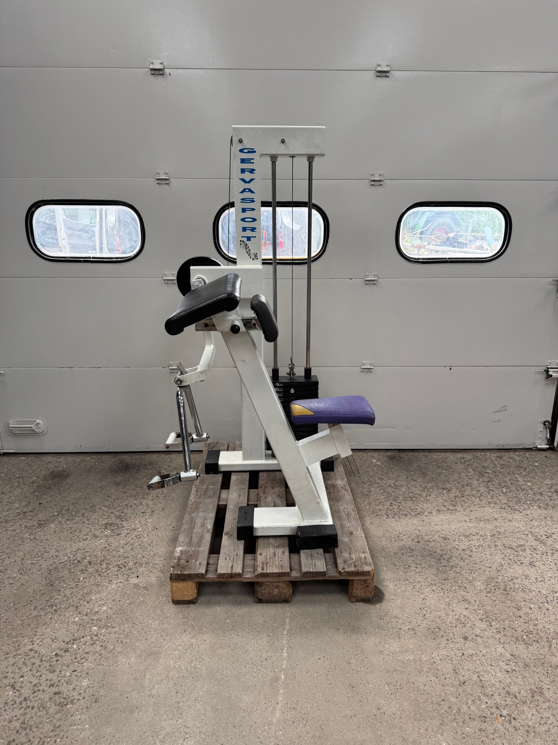 Gerva Sport Bicep curl/ Biceps/ Bizep/ Bizeps