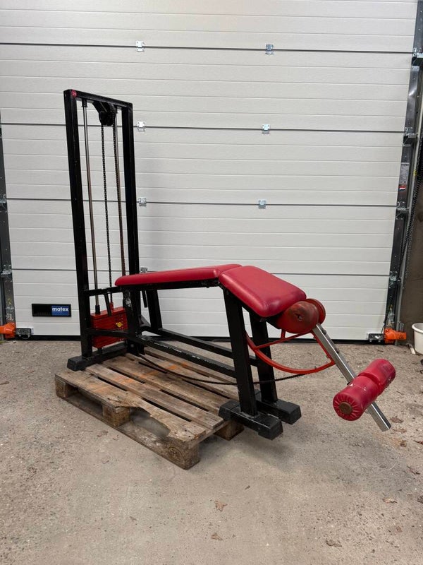 Panatta Lying leg curl/ beinbeuger/ legcurl/ chain driven