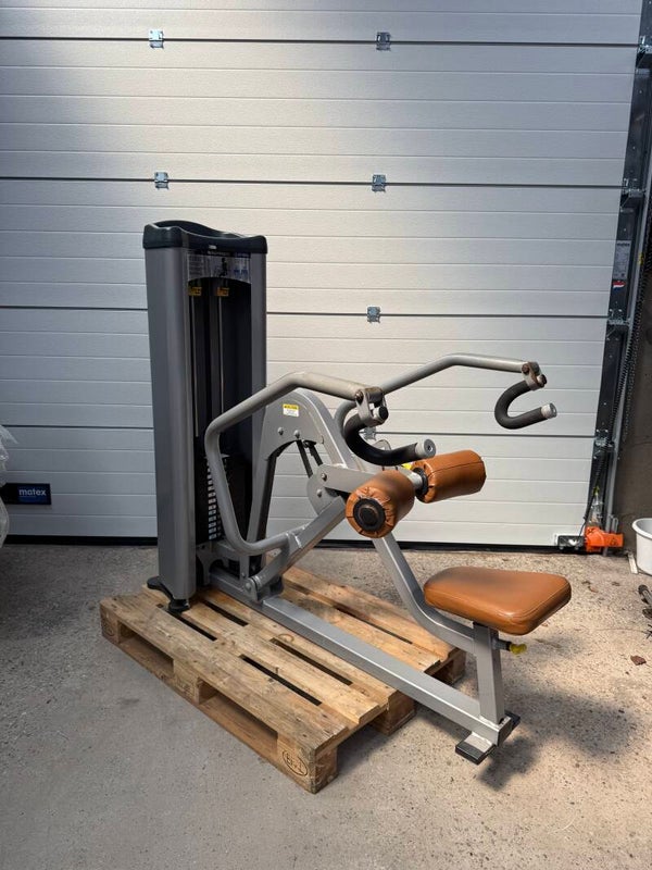 Nautilus Steel tricep dip machine/ triceps