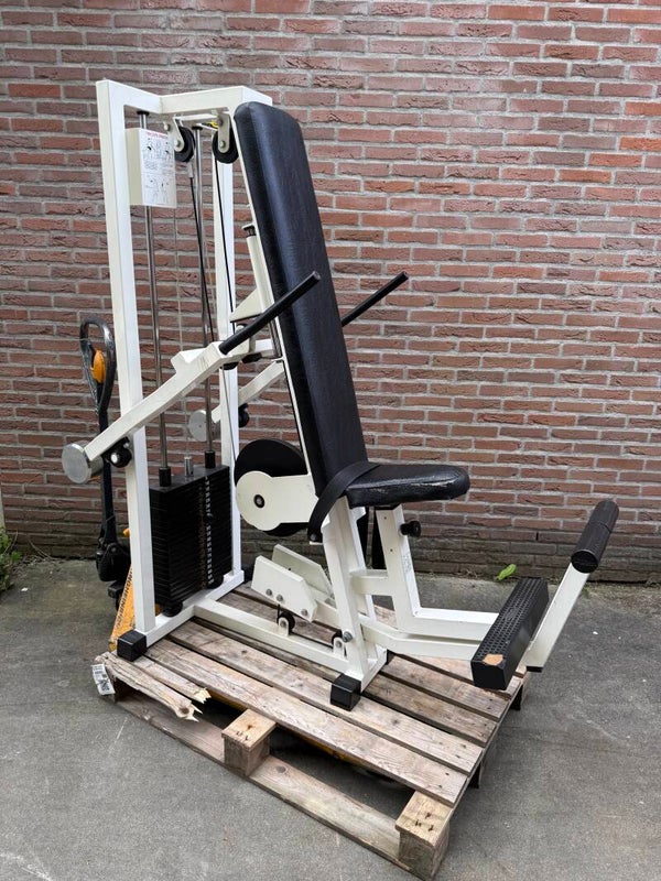 Technogym tricep dip machine/ maschine/ trizeps/ trizep