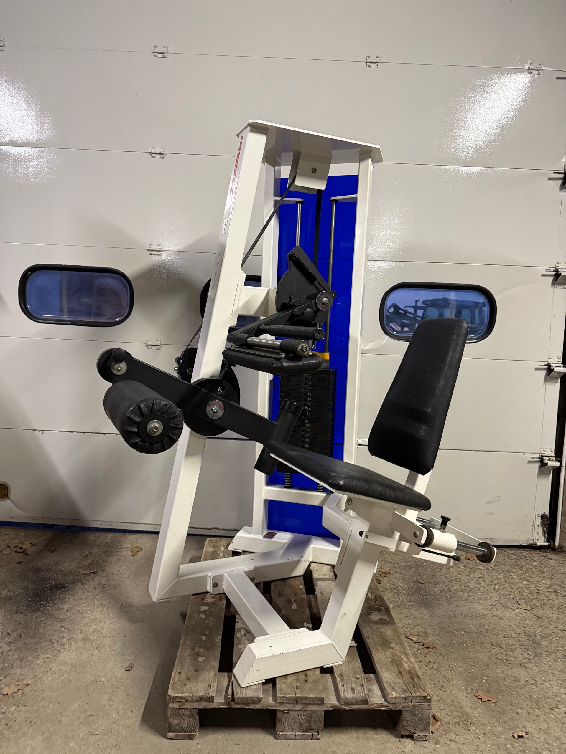 Gym 80 seated leg curl/ beinbeuger/ legs