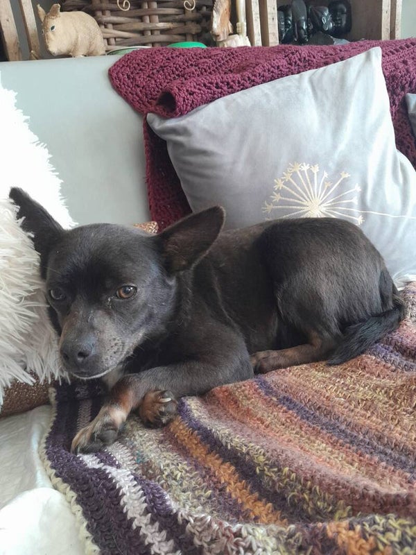 .BETTY dite JOSEPHINE