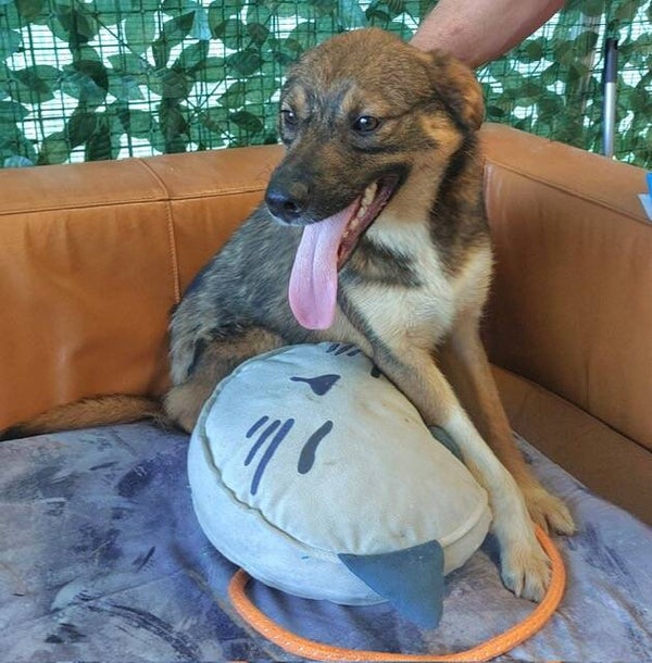 KAÏ