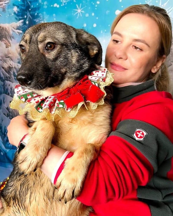 ODDIE