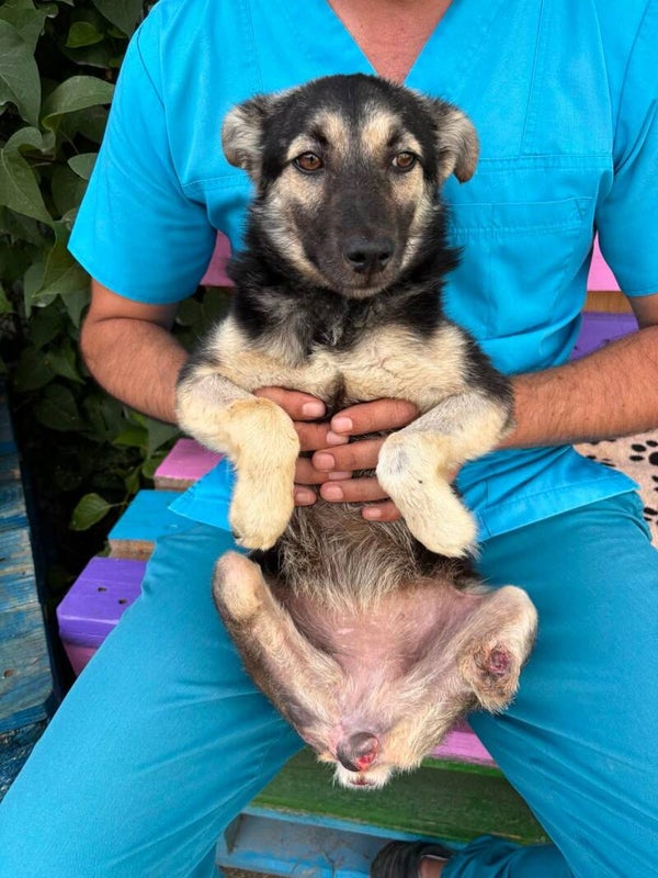 JAÏA