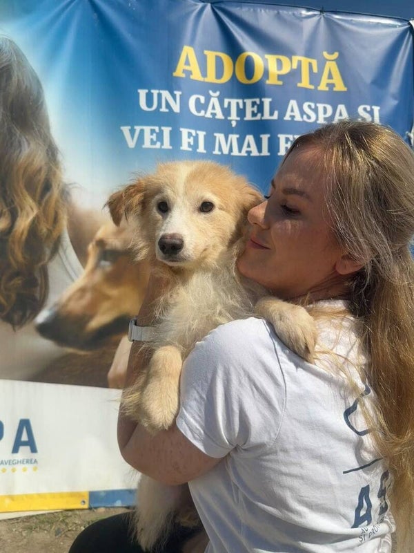 TITOU