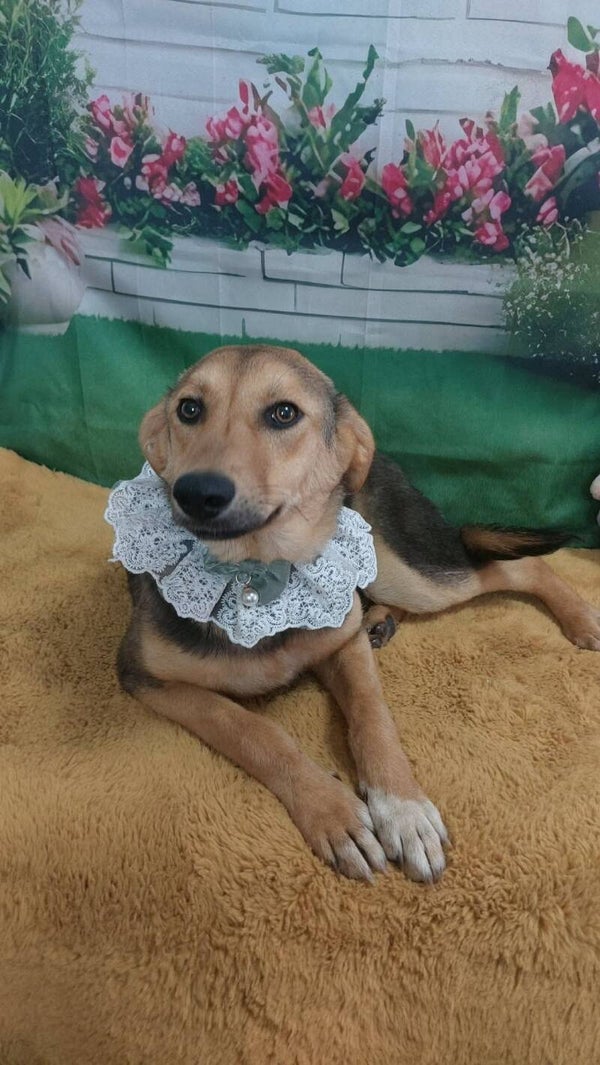 PRIYA