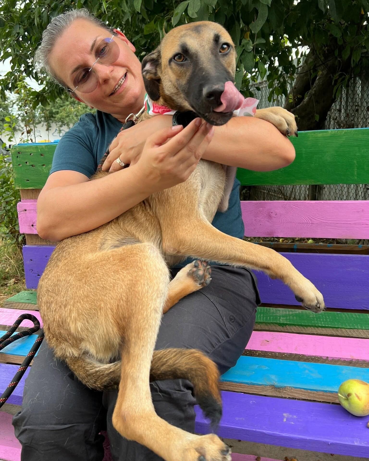 ASHA