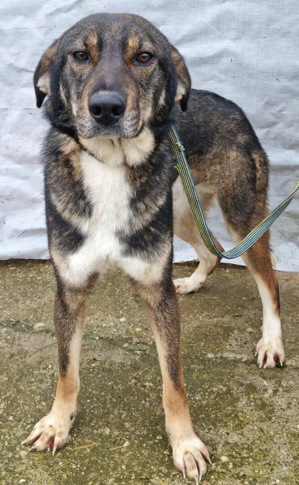 RAGNAR