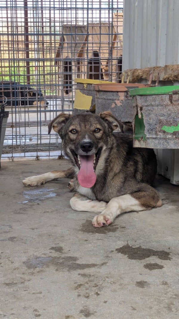 KOVU