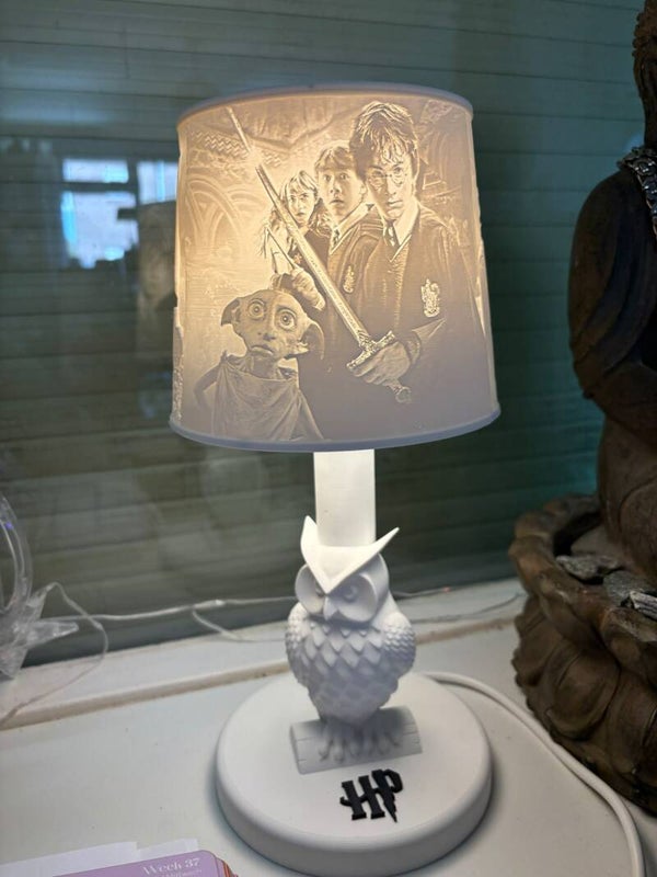 3D geprint Harry Potter lamp
