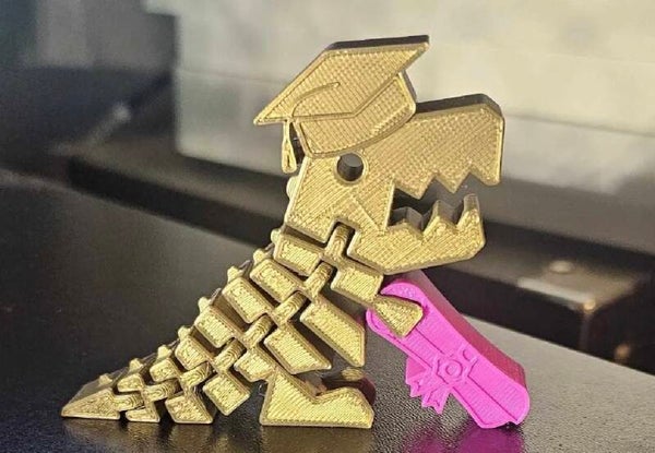 Geslaagd dino fidget toy