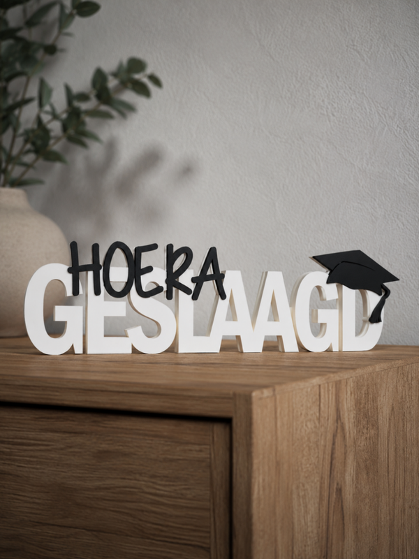 Geslaagd Cadeaus uit de 3D-printer – Vanaf € 4,95 🎓