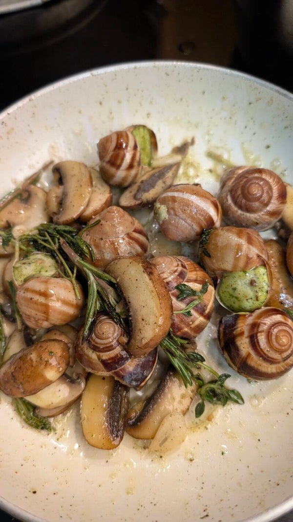 Le escargot