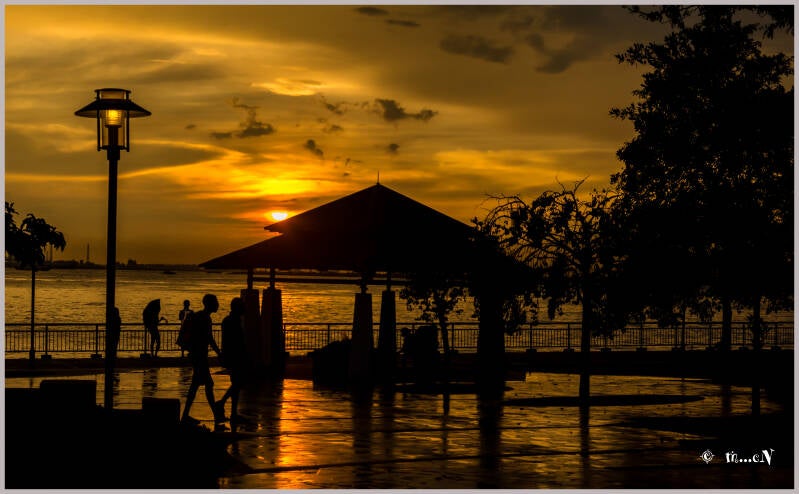 _dsc2918-edit-1-standard.jpg