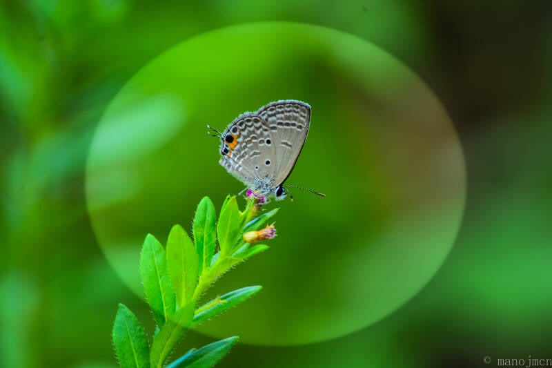 dsc_8234_lr-standard.jpg