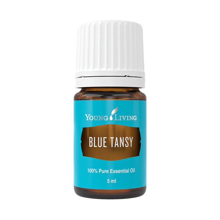 Blue tansy