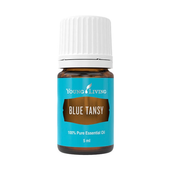 Blue tansy